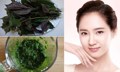 3 cách làm trắng da bằng lá tía tô để lúc nào cũng trẻ đẹp